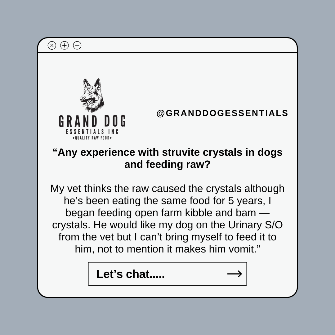 Does Raw Dog Food Create Struvite Crystals?