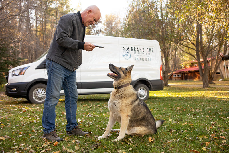 Greg Monsma standing with his German Shepherd, Kanti, with a a piece of Herring in his hand.  Kanti is looking longingly at the piece of herring.  The Grand Dog Essentials truck is in the background. 