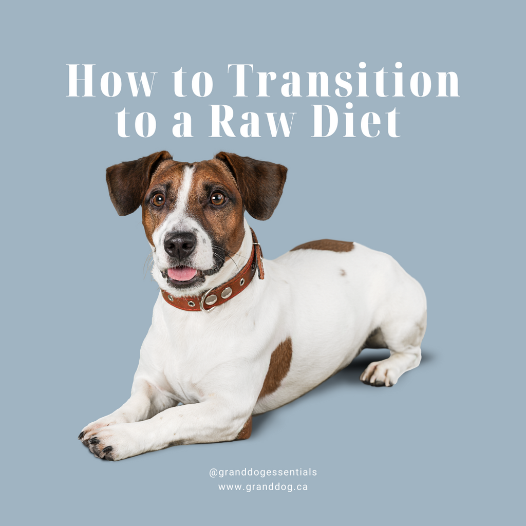 can raw food cause diarrhea in dogs