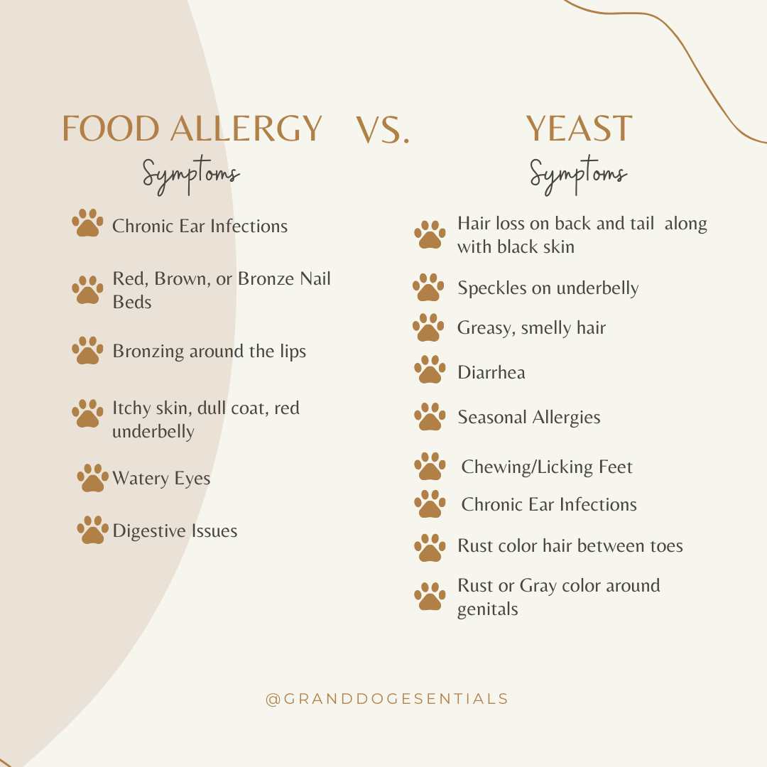 Allergies or Yeast? How To Tell the Difference & Provide Relief for your Dog