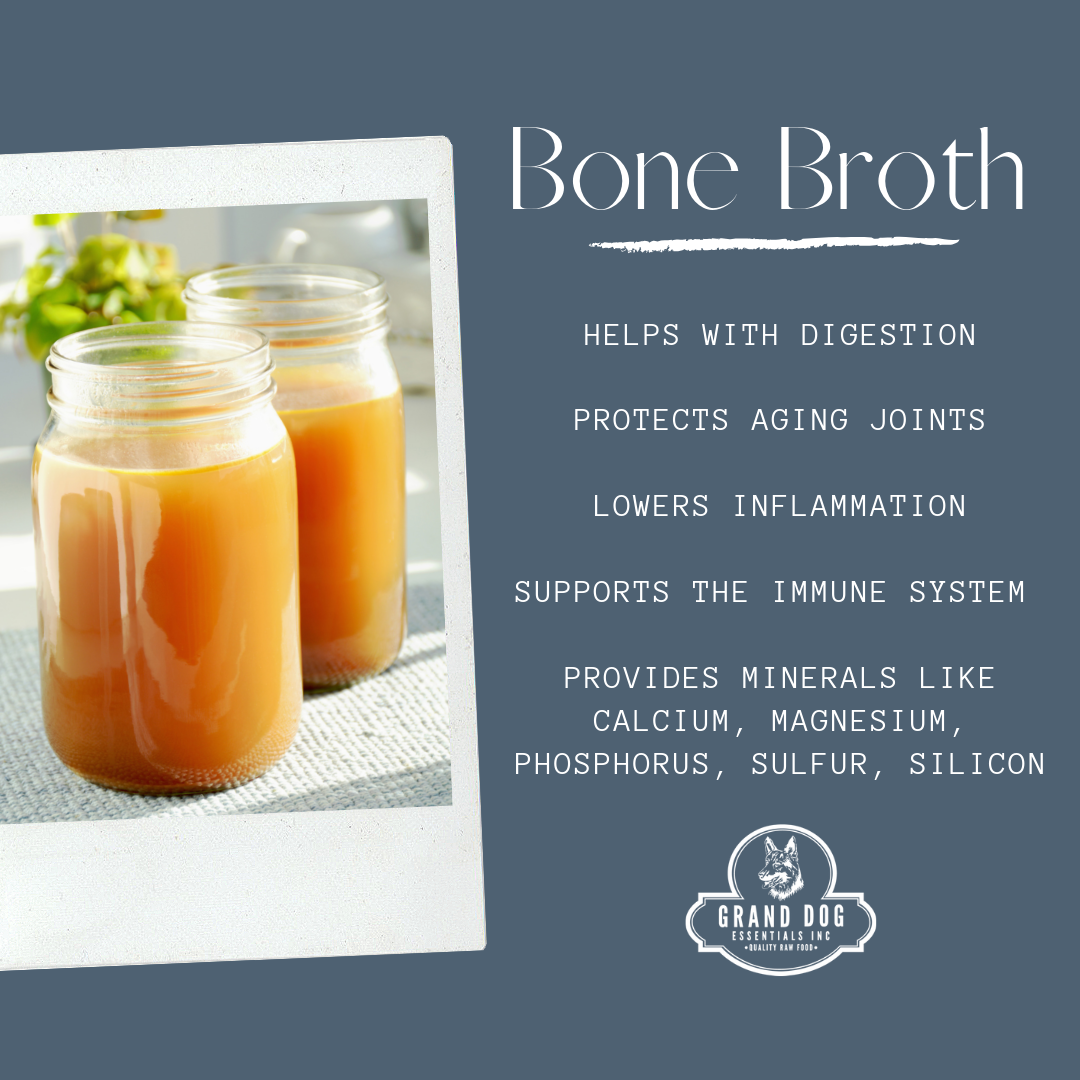 Bone Broth Recipe for Dogs