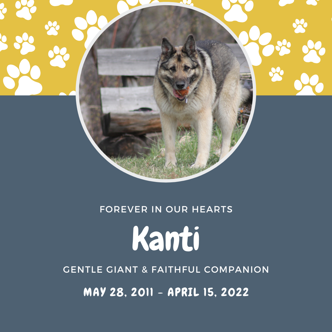 Celebrating the Life of Kanti
