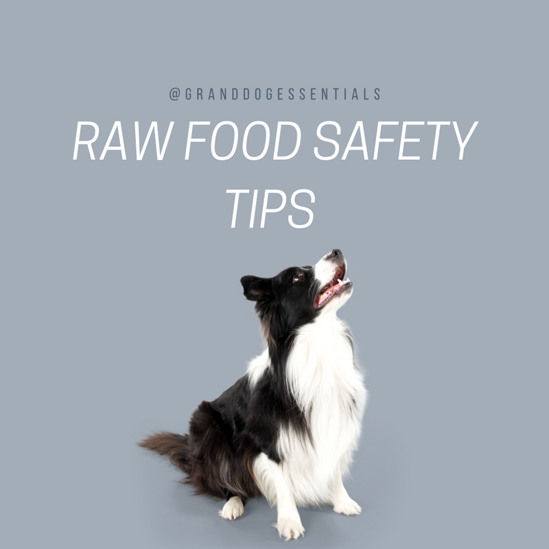 Raw Dog Food Safety 101: 7 Tips to Keep You and Your Dog Safe