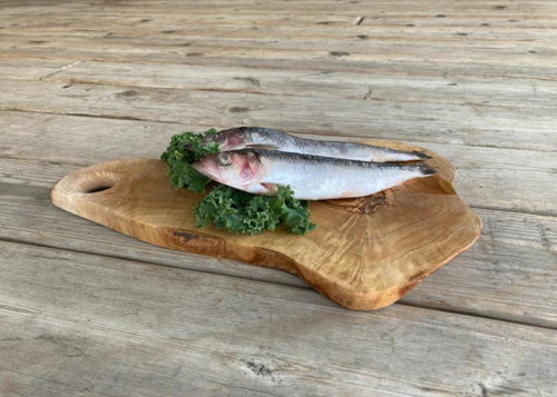 Picture of frozen herring on a platter for dogs and cats
