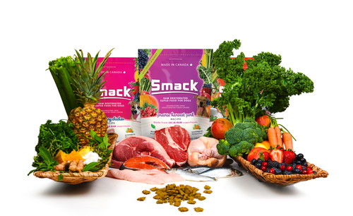 Dry or Cooked Dog Food