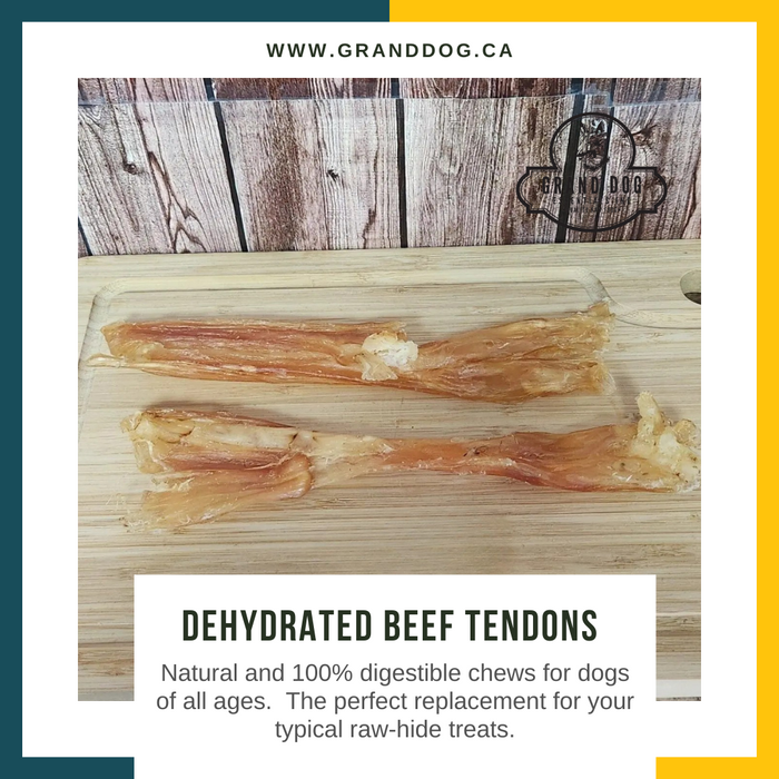 CK9 Dehydrated Beef Tendon