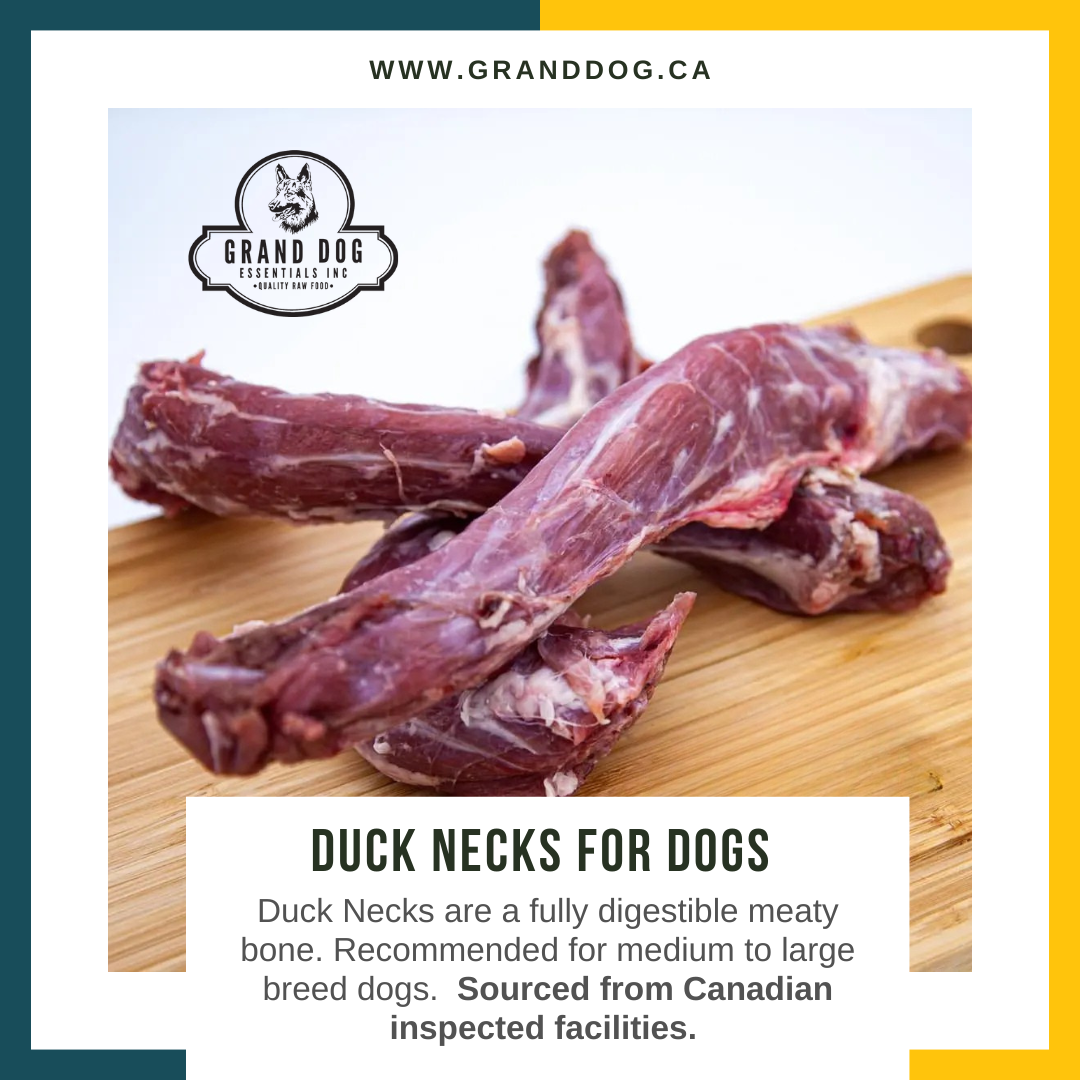 CK9 Duck Necks for Dogs
