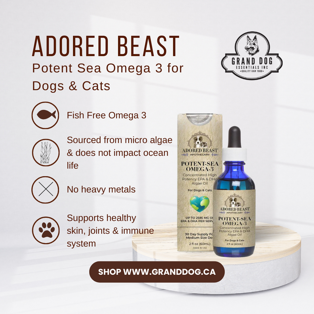 Adored Beast Potent Sea Omega 3 Fish Free