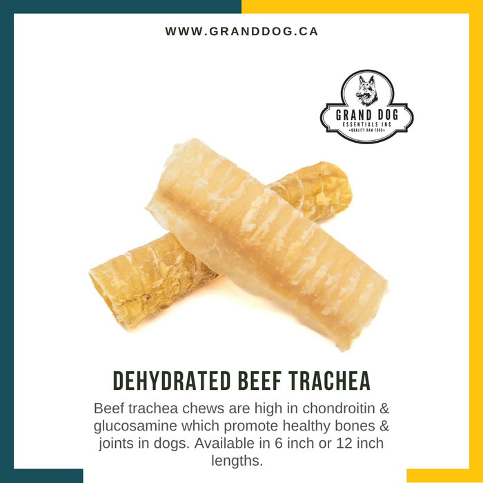 Dehydrated Beef Trachea for Dogs sold by Grand Dog Essentials from The Complete K9
