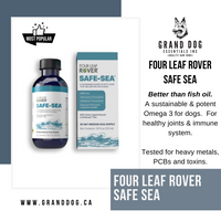 4LR Safe Sea Green Lipped Mussel Oil For Dogs