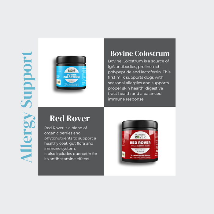 4LR BUNDLE: Allergy Support for Dogs