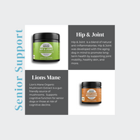4LR BUNDLE: Senior Support for Dogs