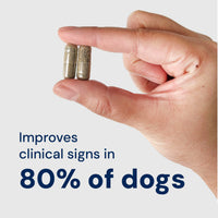 Animal Biome - Doggy Biome Gut Restore from Raw Fed Dogs