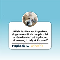 4LR Bifido for Fido - Probiotics for your BFF
