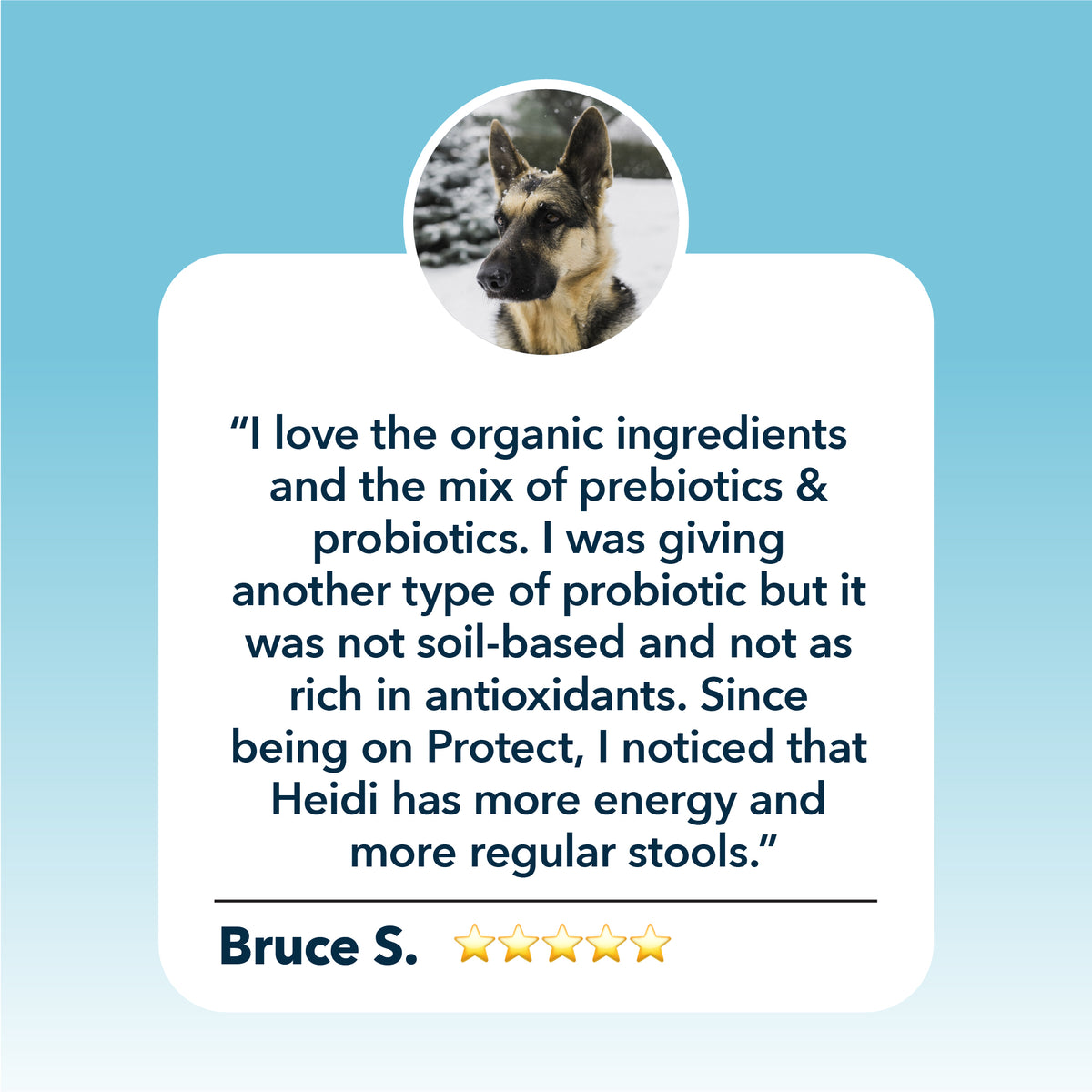 4LR Protect - Soil Based Probiotics