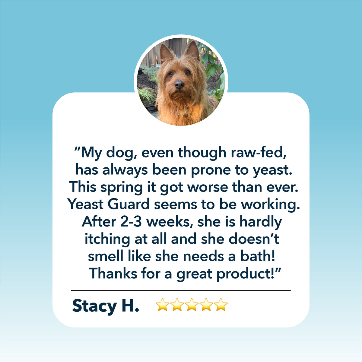 4LR Yeast Guard - Gentle Yeast Cleanse For Dogs