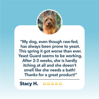 4LR Yeast Guard - Gentle Yeast Cleanse For Dogs