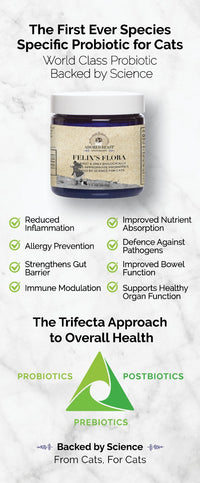 Adored Beast Felix's Flora - Probiotics for Cats