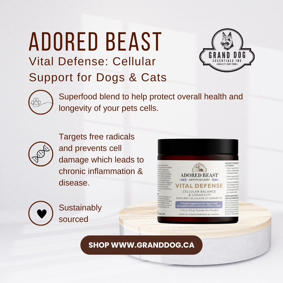 Adored Beast Vital Defense: Cellular Support for Dogs & Cats