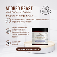 Adored Beast Vital Defense: Cellular Support for Dogs & Cats