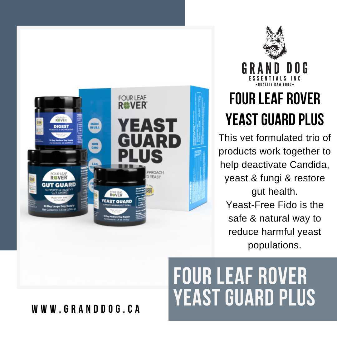 4LR Yeast Guard Plus - Yeast Support for Dogs