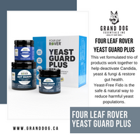 4LR Yeast Guard Plus - Yeast Support for Dogs