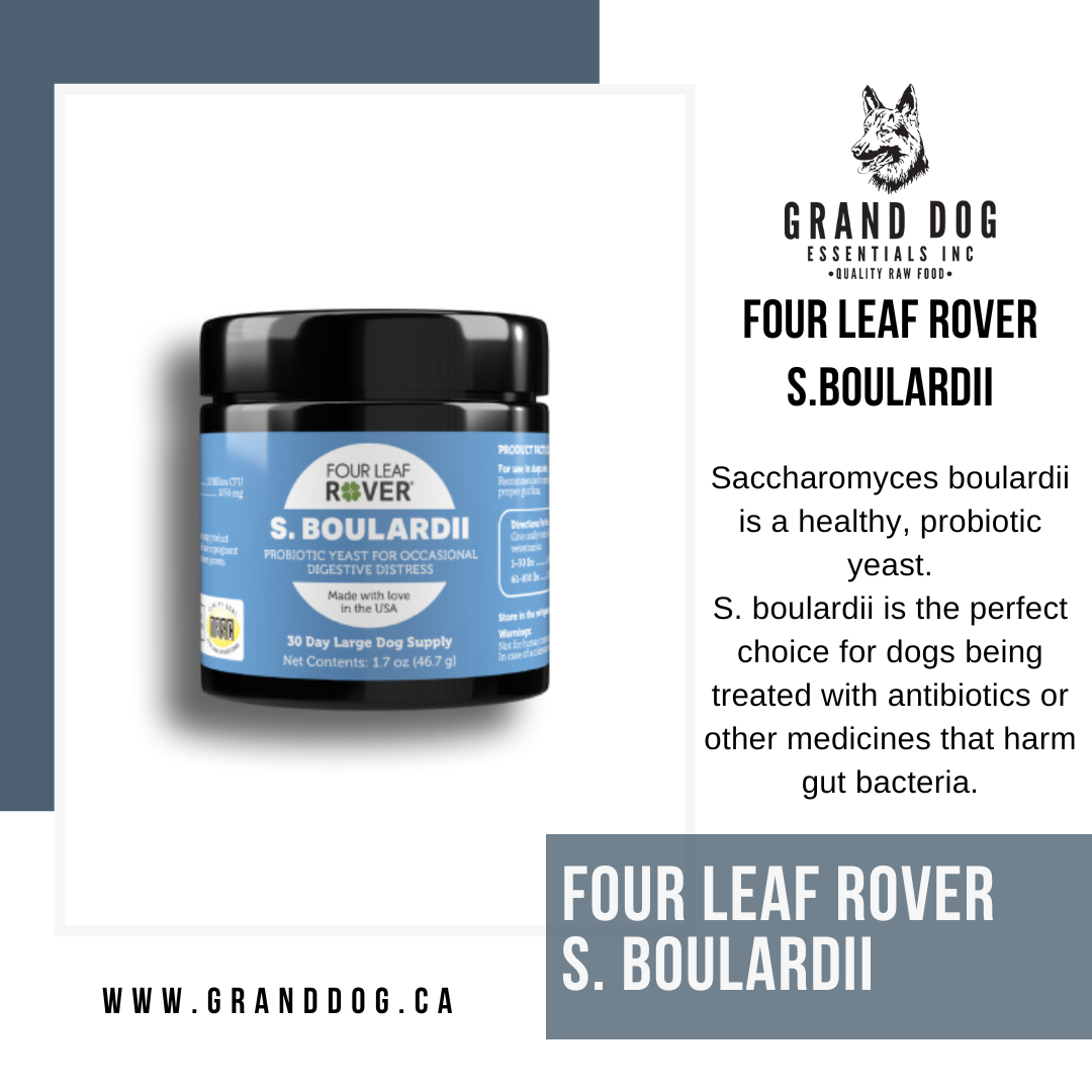 4LR Saccharomyces boulardii - Yeast Based Probiotics For Dogs