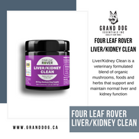 4LR Liver/Kidney Clean for Dogs