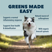 4LR Green Rover - Organic Greens for Happy Dogs