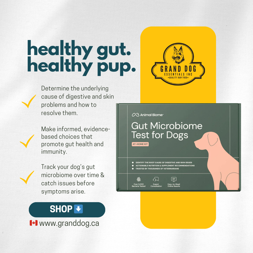 Animal Biome Gut Microbiome Test for Dogs – Grand Dog Essentials