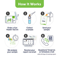 Graphic showing the steps of the Animal Biome Doggy Biome Test Kit