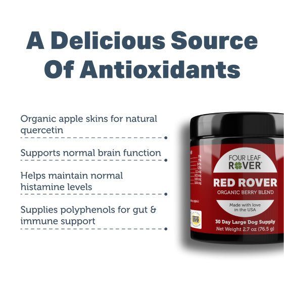 4LR Red Rover - Organic Berries for Dogs