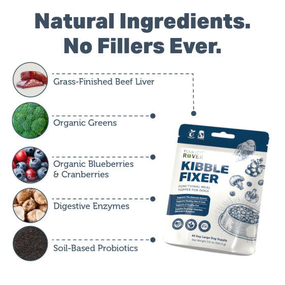 4LR Kibble Fixer - Functional Meal Topper for Dogs