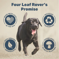 4LR Lion's Mane Mushroom Extract