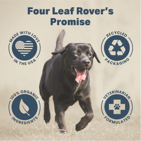 4LR Yeast Guard - Gentle Yeast Cleanse For Dogs