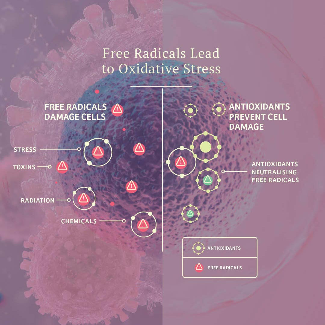 Adored Beast Vital Defense: Cellular Support for Dogs & Cats