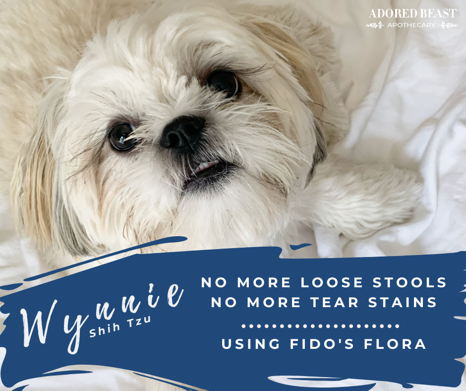 Adored Beast Fido's Flora Probiotics for Dogs 80g