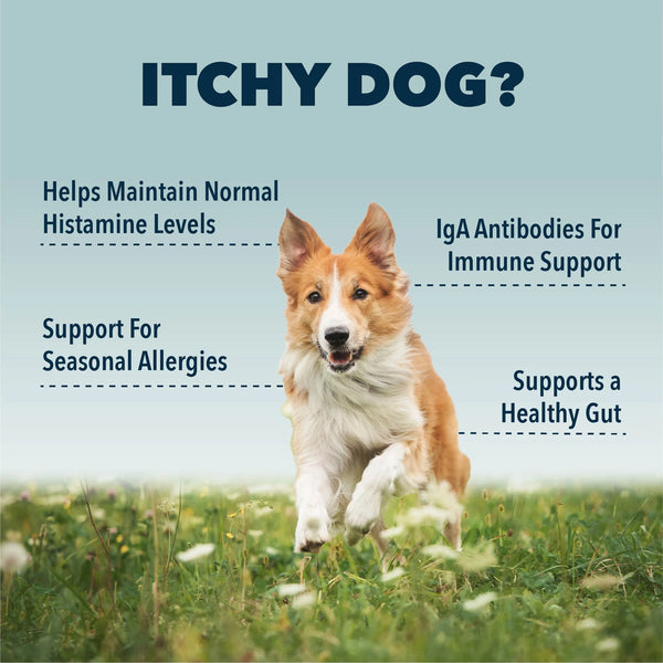 4LR BUNDLE: Allergy Support for Dogs