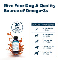 4LR BUNDLE: Joint Support for Dogs