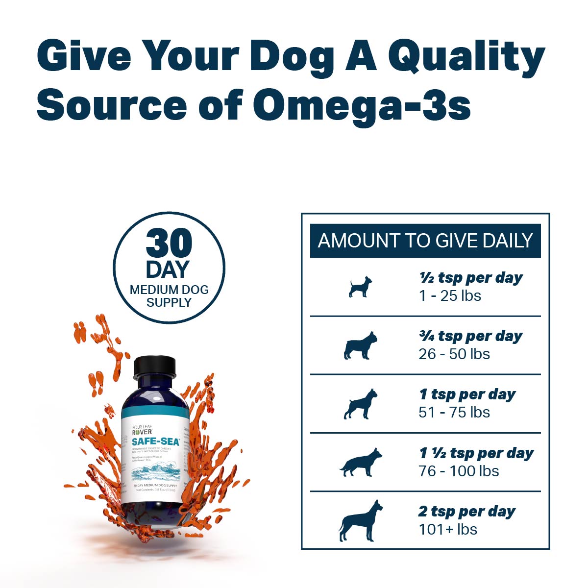 4LR BUNDLE: The Basics for Dogs