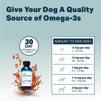 4LR BUNDLE: Joint Support for Dogs