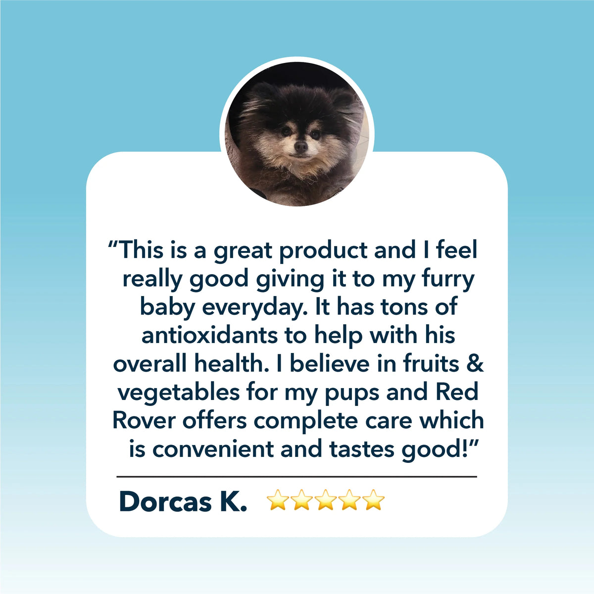 4LR Red Rover - Organic Berries for Dogs