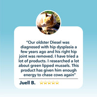 4LR Safe Sea Green Lipped Mussel Oil For Dogs