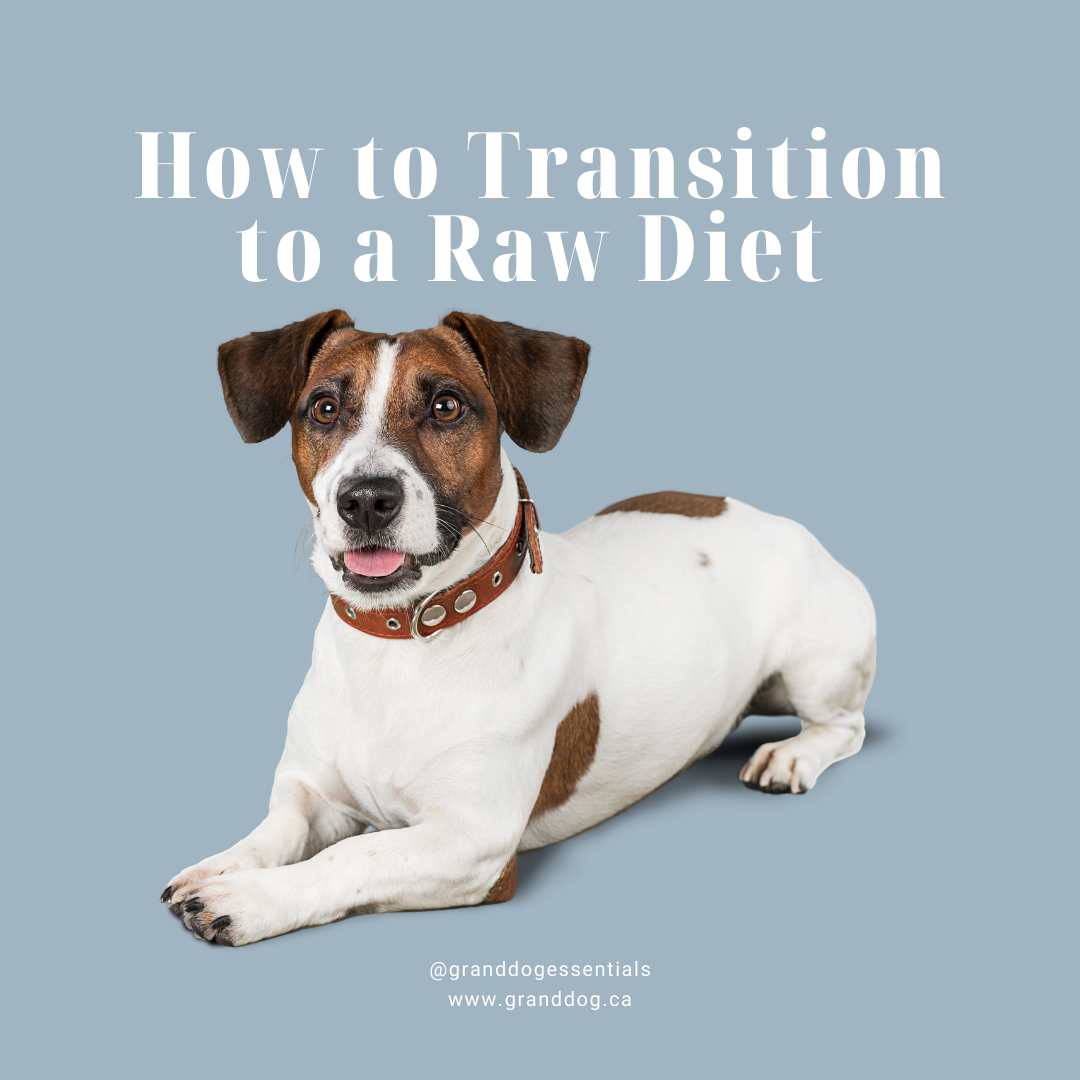 Transitioning dog to raw food deals