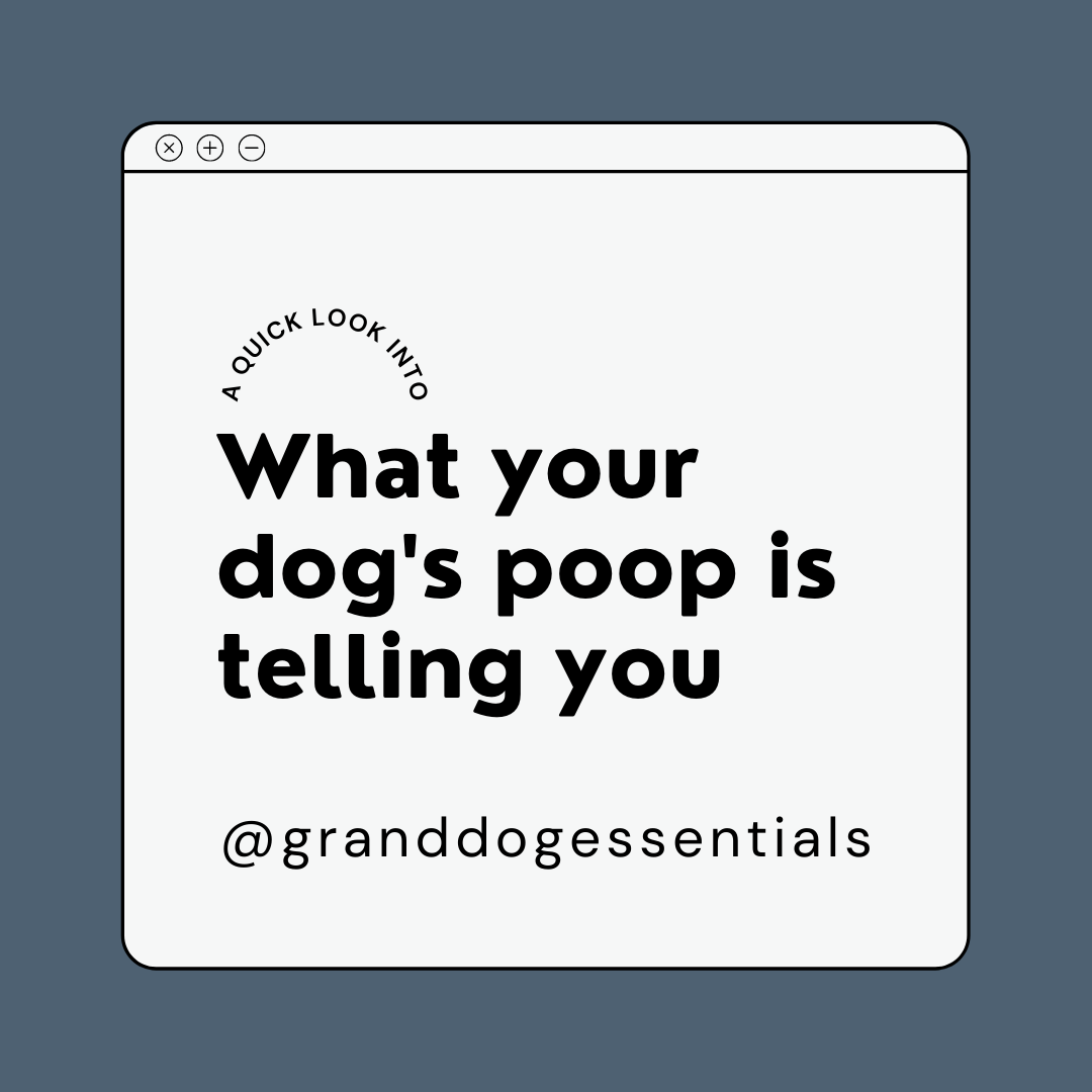 Poop Appearance - The Scoop on Your Poop's Size, Shape & Color