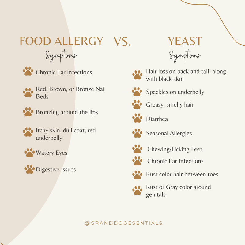 Allergies or Yeast?  How To Tell the Difference & Provide Relief for your Dog