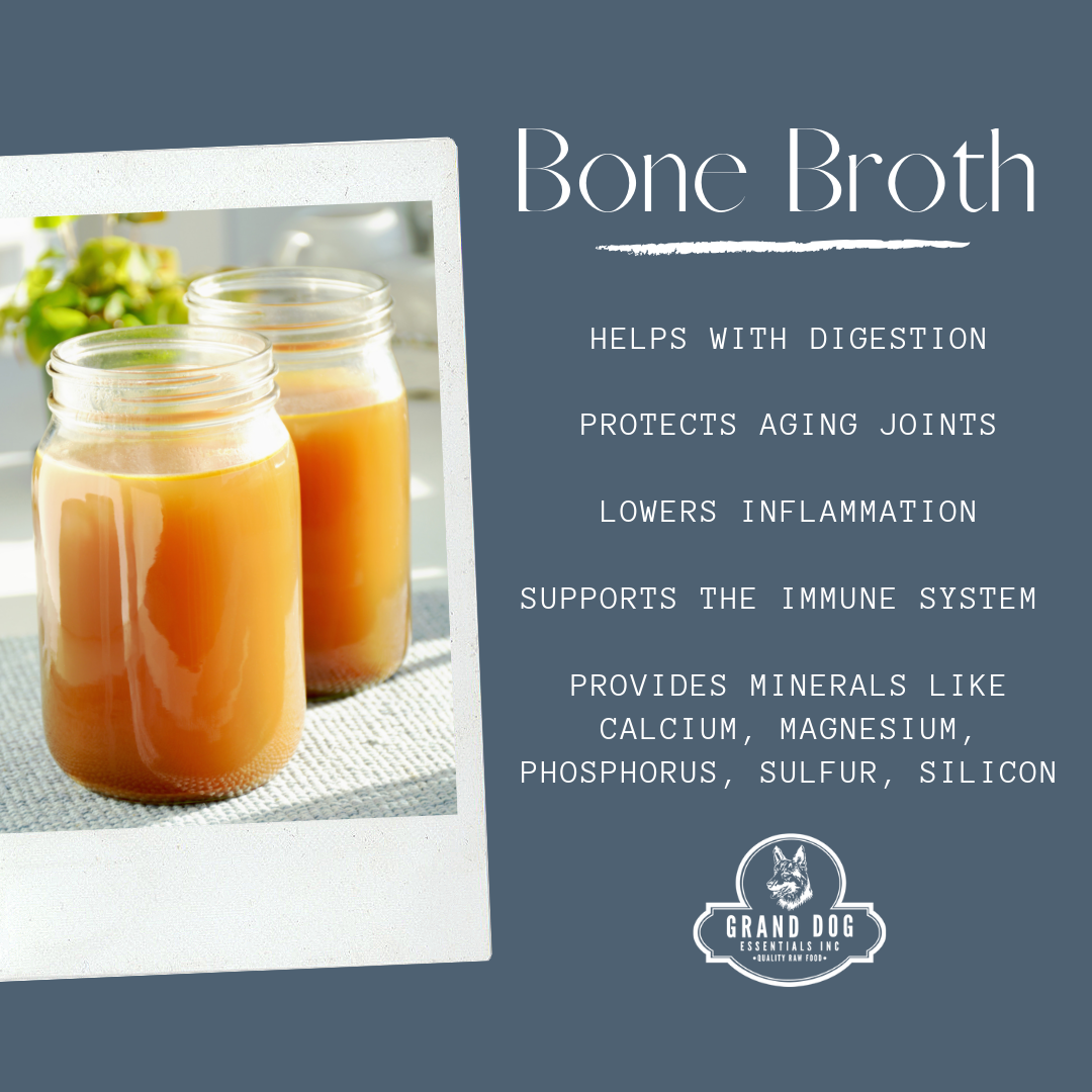 Bone Broth Recipe for Dogs 