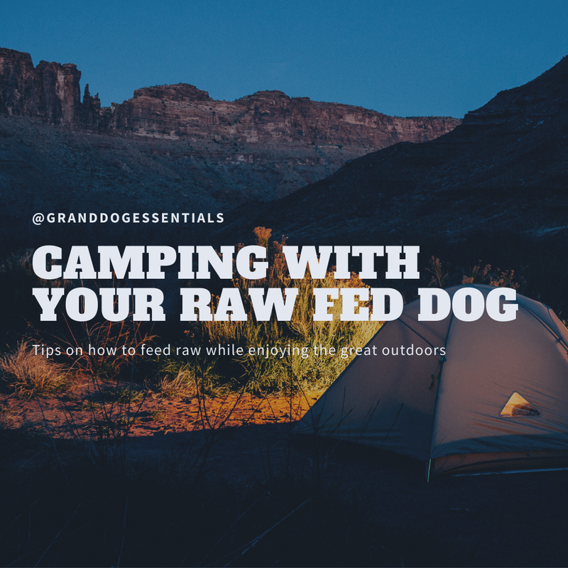 CAMPING WITH YOUR RAW FED DOG
