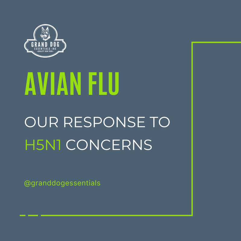 Grand Dog Essentials' Response to H5N1 Avian Flu