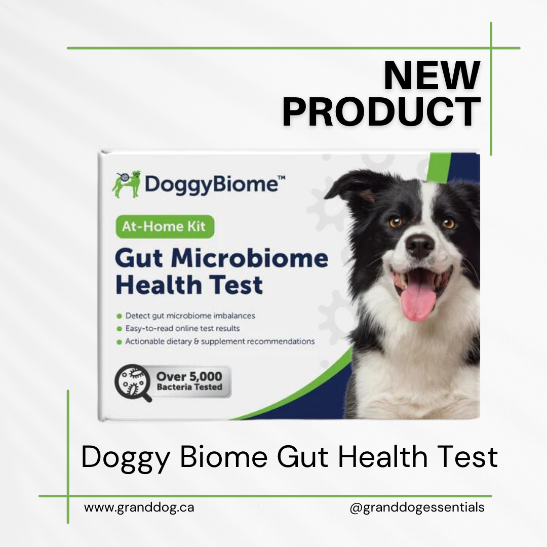 Restore Dog Gut Health with Animal Biome Quality Raw Food in Alberta